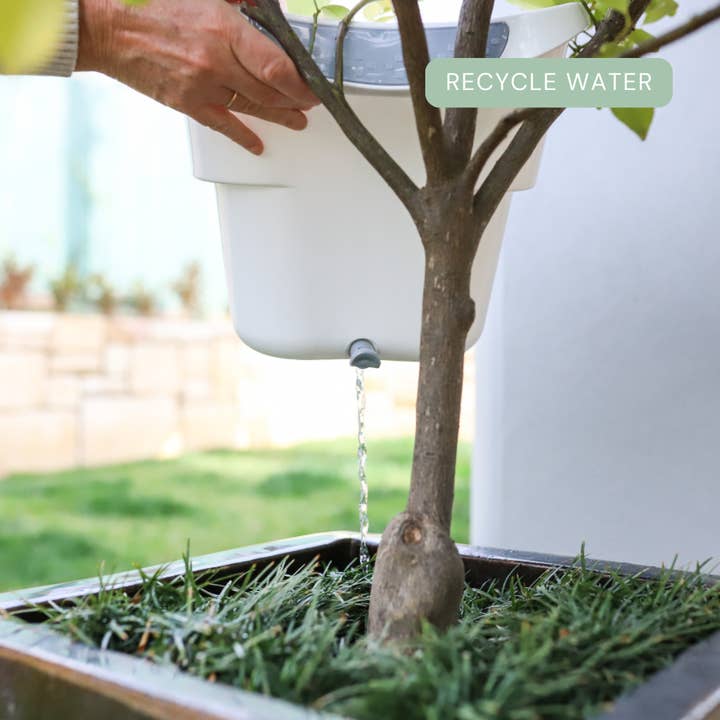 Strucket - Wholesale Laundry Basket - Strucket 19L – 6 Pack Assorted (2 Aqua + 2 Sand + 2 Gray)18