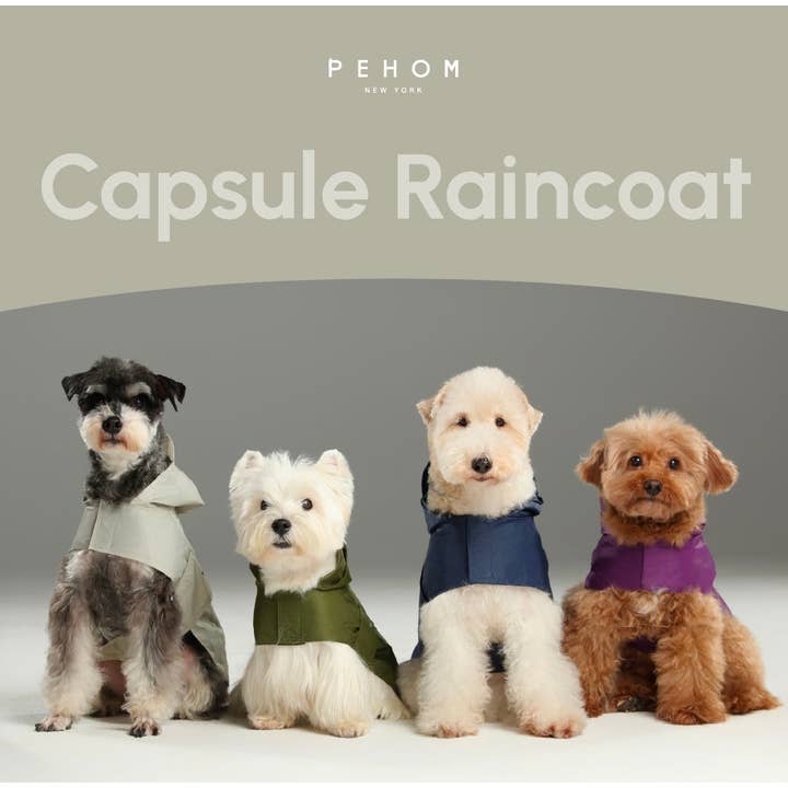 PEHOM - Wholesale Pet Raincoat - Dog - Capsule Raincoat - Purple9