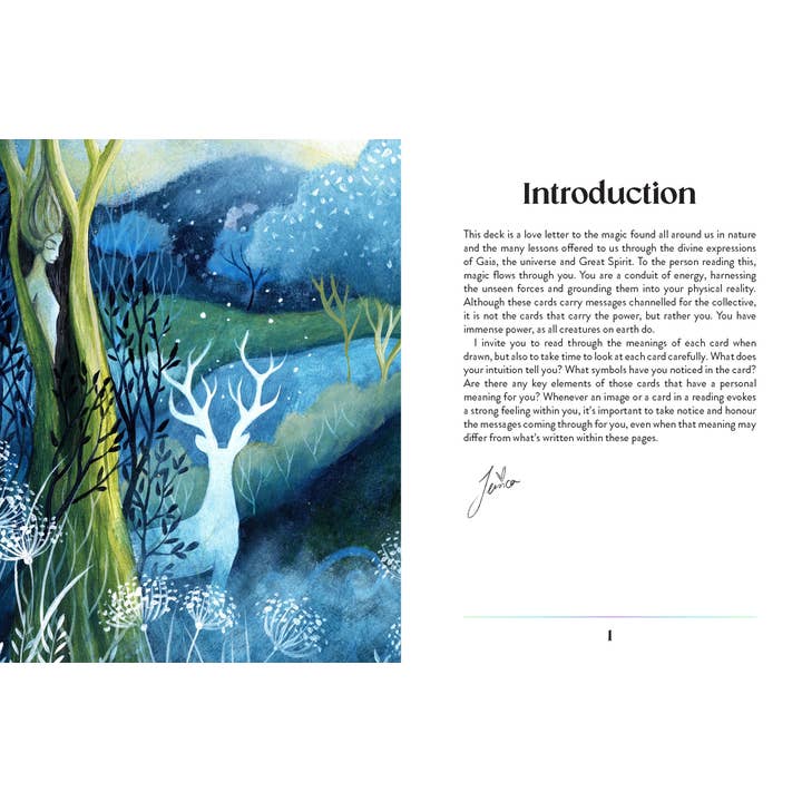 ROCKPOOL PUBLISHING - Wholesale Tarot cards - Enchanted Earth Oracle2