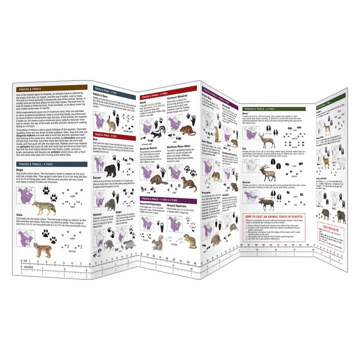 Waterford Press - Wholesale Nature Guide - Animal Tracking Field Guide