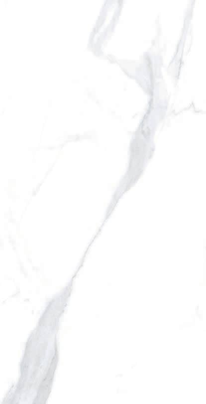 Thomas Avenue Ceramics - Wholesale Wall Tile - 12"x24" Porcelain Calacatta Cool Floor and Wall Tile12