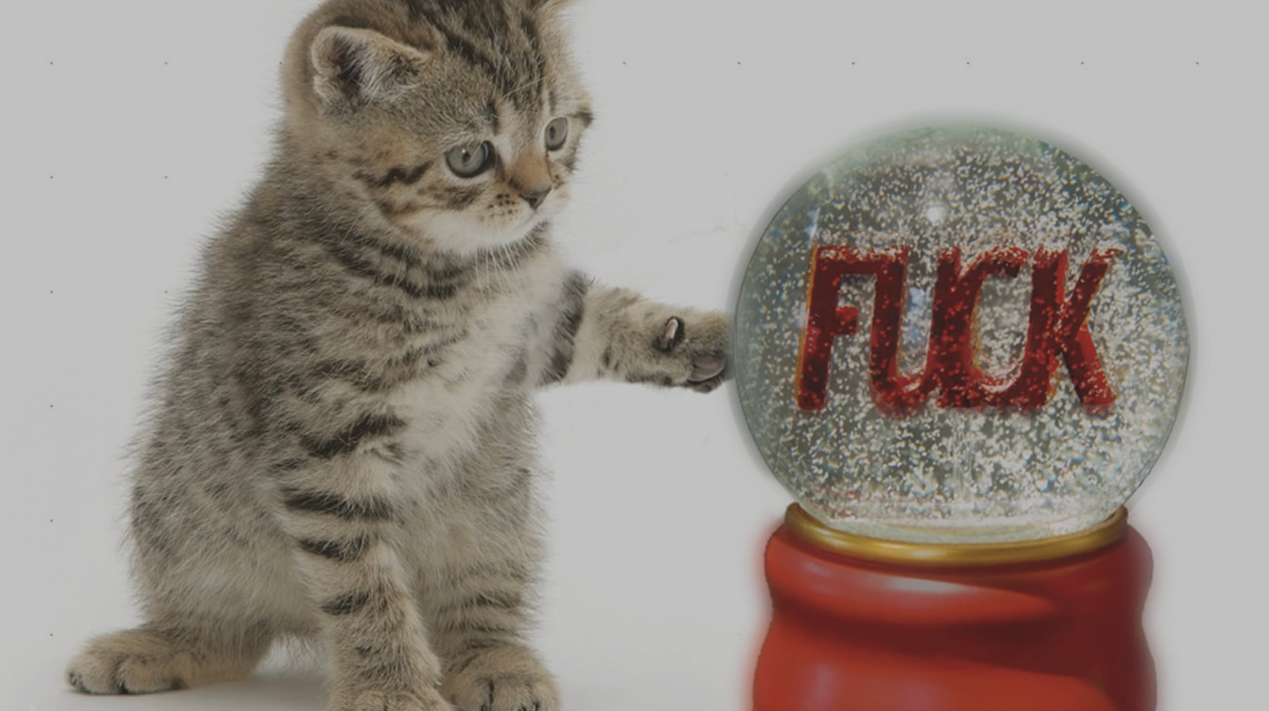 PUREPRODUCTSUSA - Wholesale Snow Globe - F**K snow globe2