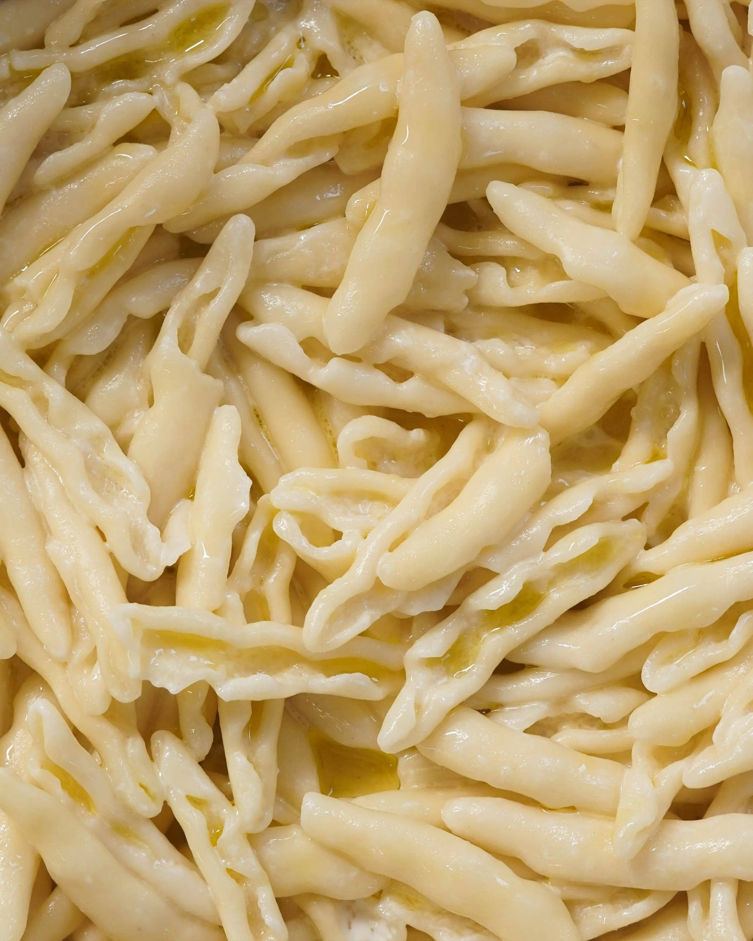 OLIO DI SERRA - Wholesale Pasta - Pugliese cicatelli (500g)3