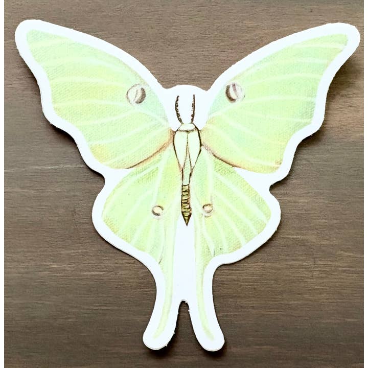 Luna Moth Nature Insect Sticker, Waterproof Vinyl for wholesale by Maryellen Kim Art And Design