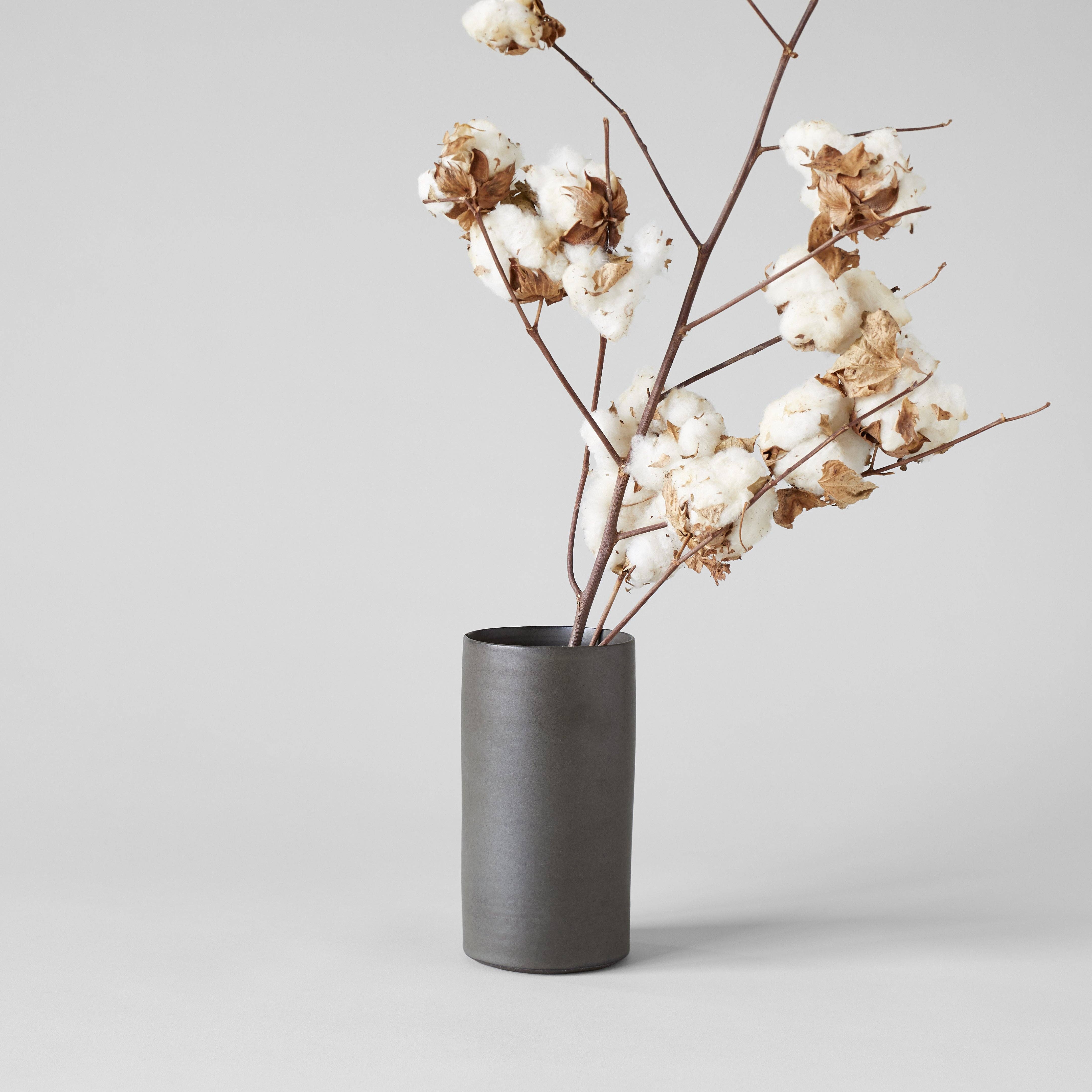 Bloomist - Wholesale Dried/Pressed Flowers - Cotton Stalk1