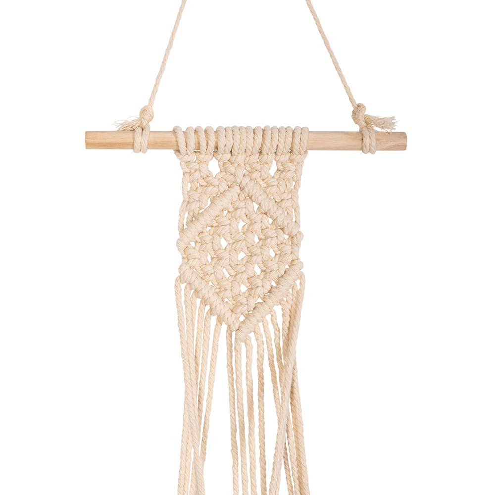 The Little Botanical - Wholesale Plant Pot - Natural Macrame Plant Hanger0