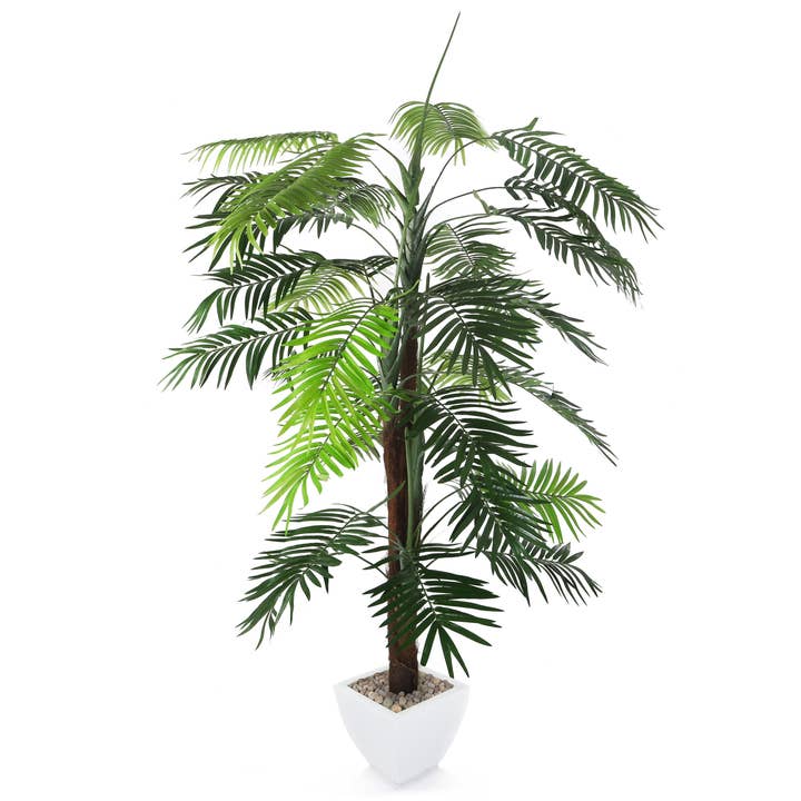 Closer2Nature - Venta al por mayor Plantas artificiales - Palmera Kentia artificial de 5 pies