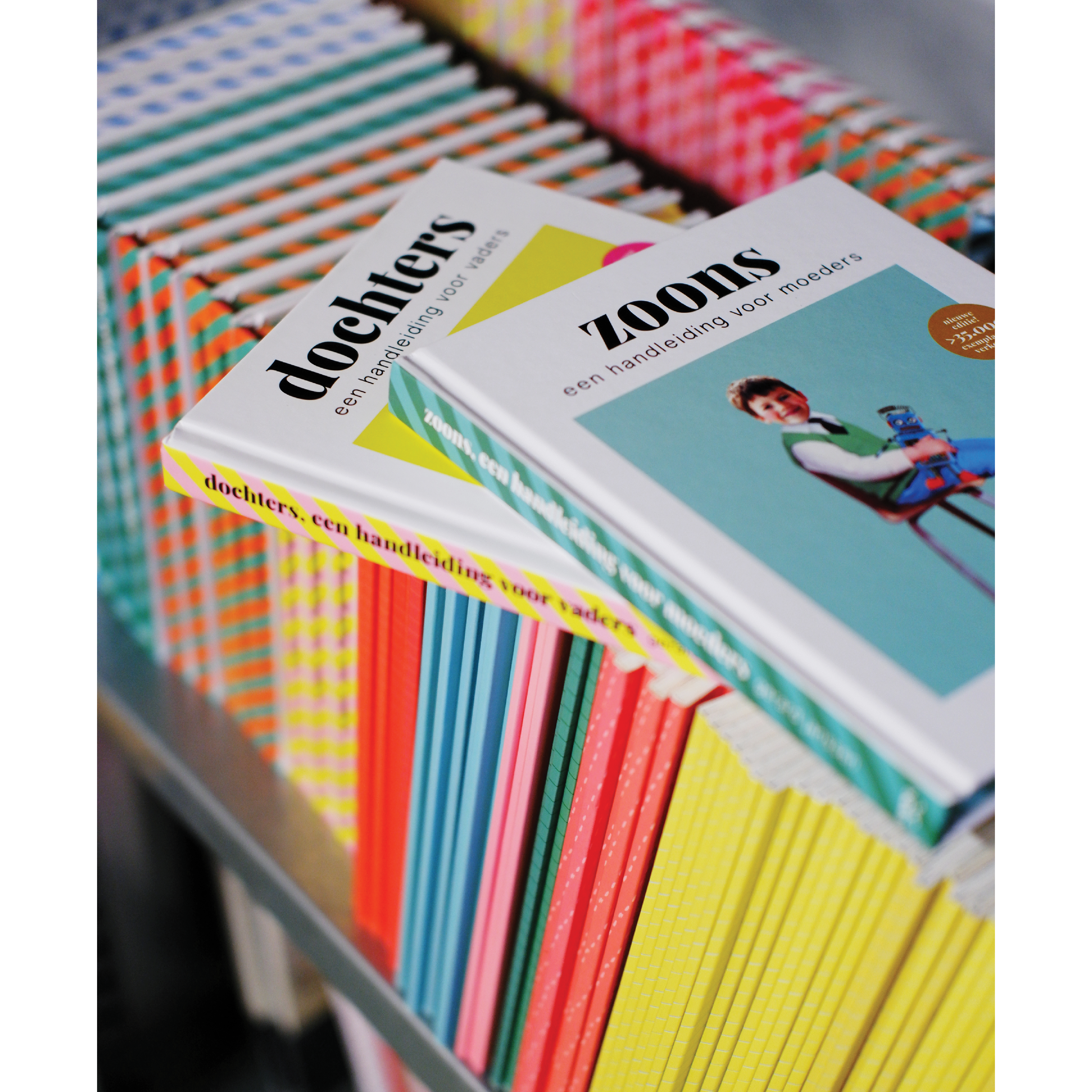 Uitgeverij Snor - Wholesale Boek over familie en relaties - Zoons, handboek voor moeders2