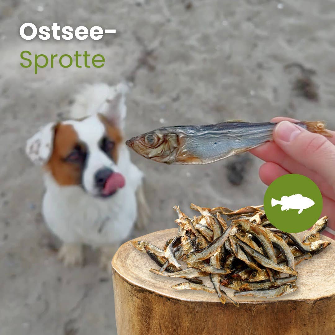 Kauartikel.com GmbH - Wholesale Hondenbot/Rawhide - Hond - Baltische sprot zonder conserveermiddelen als hondensnack2