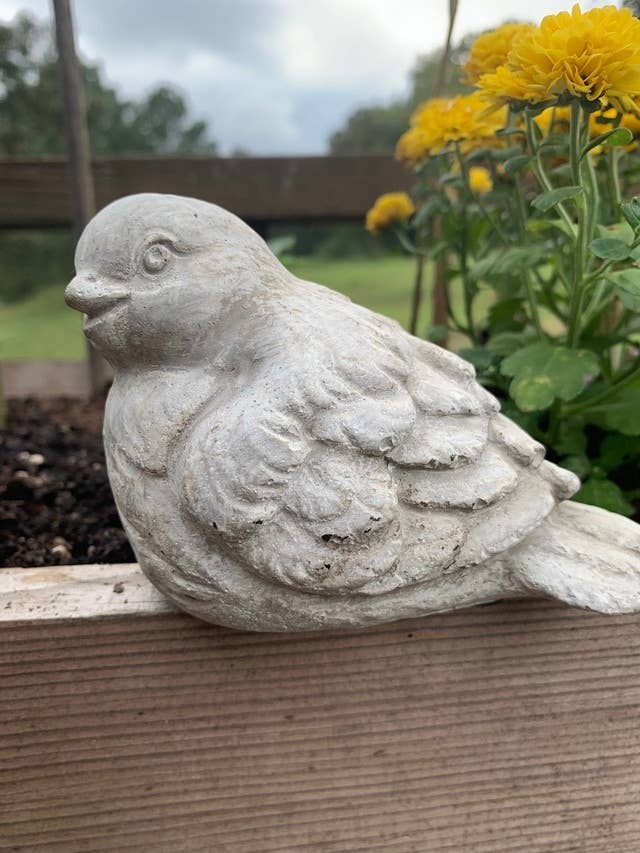 Vagabond Vintage - Venta al por mayor Figura decorativa - Estatua de pájaro sentado de cemento 11