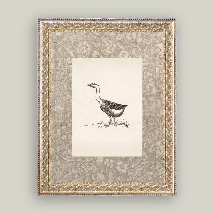 Petal Lane Home – Impressão artística por atacado – Quadro Antigo com Ganso Único em Tela1