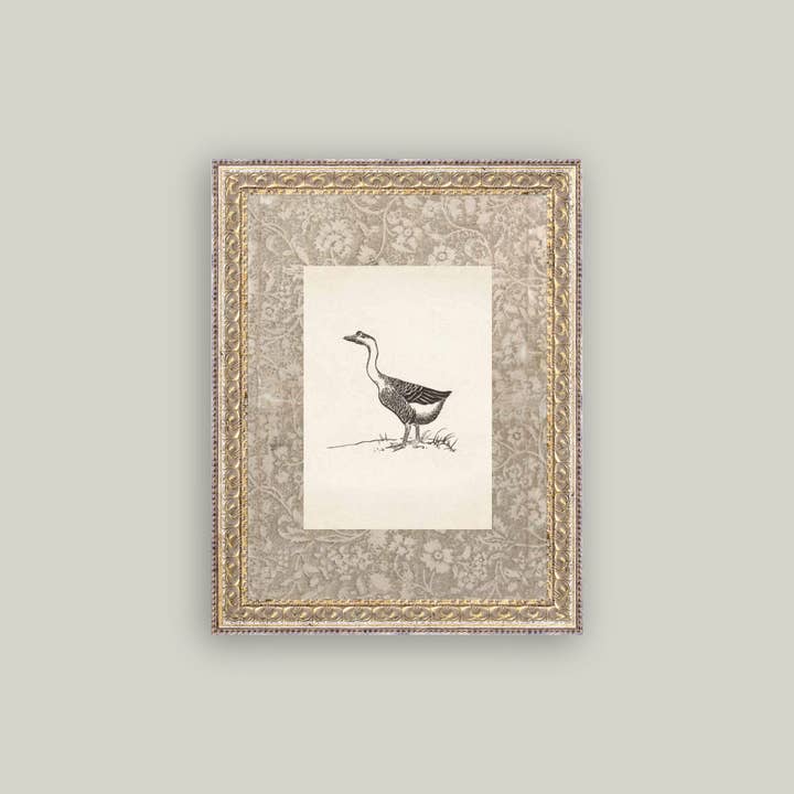 Petal Lane Home - Wholesale Art Print - Single Goose Framed Antique Art