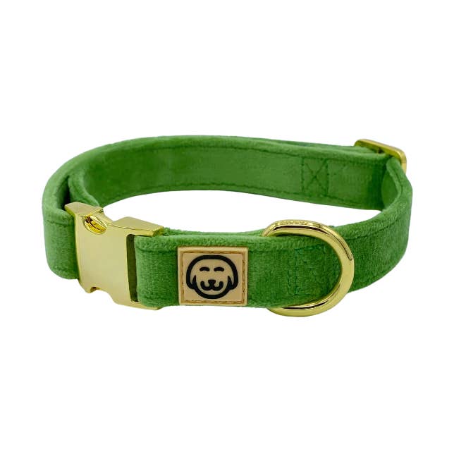 Veludo de samambaia - gola por atacado de Molly & Co.