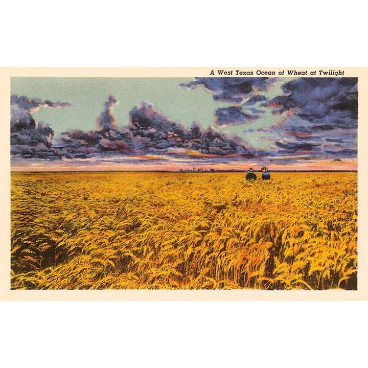 Impresión artística TX-21 Trigo de Texas al atardecer para venta al por mayor de Found Image Press
