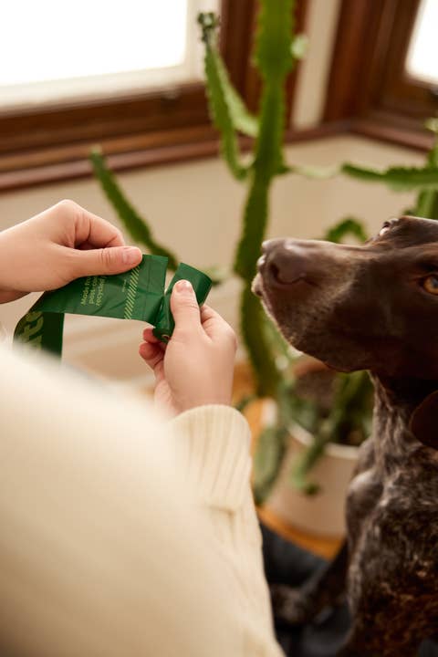 Pet Palette Distribution - Wholesale Pet Poop Bag Dispenser - Earth Rated Countertop Display w/21 Rolls & 6 Dispensers4