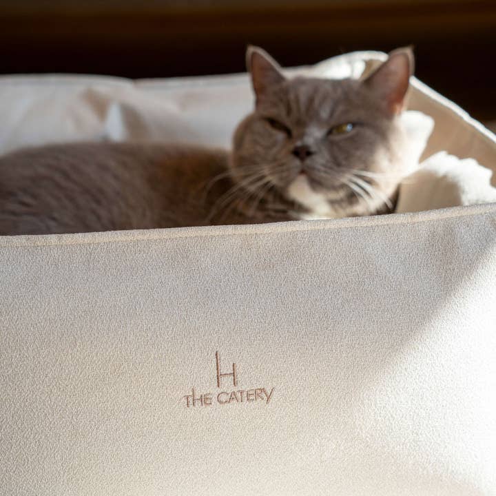 The Catery – wholesale Husdjursbädd – Katt – Loft kattbädd i krämfärg1