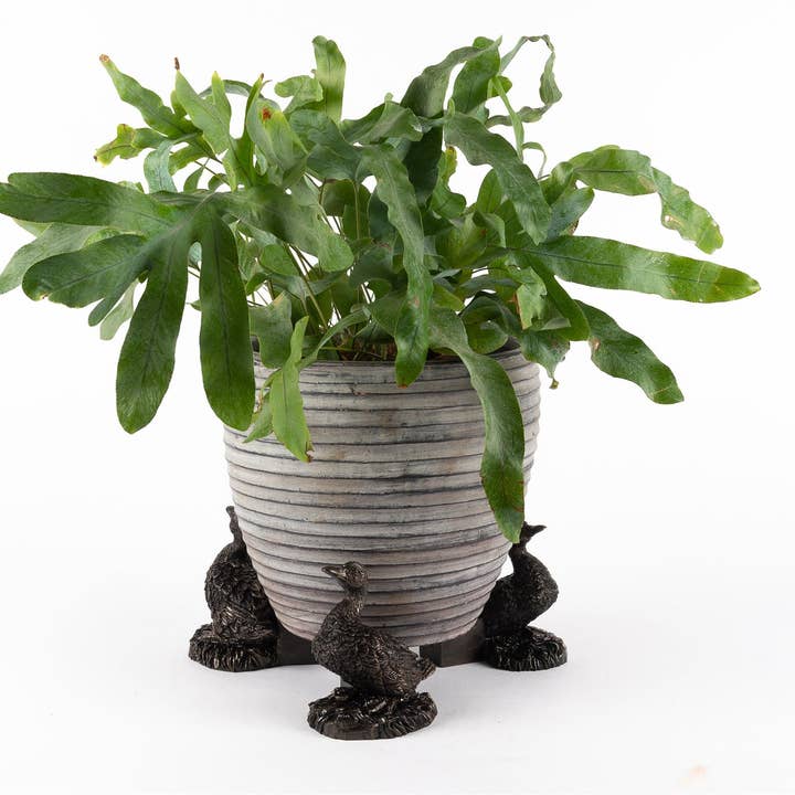 Jardinopia UK – wholesale Plant pot – Aylesbury Duck Plant Pot Feet - Set of 3