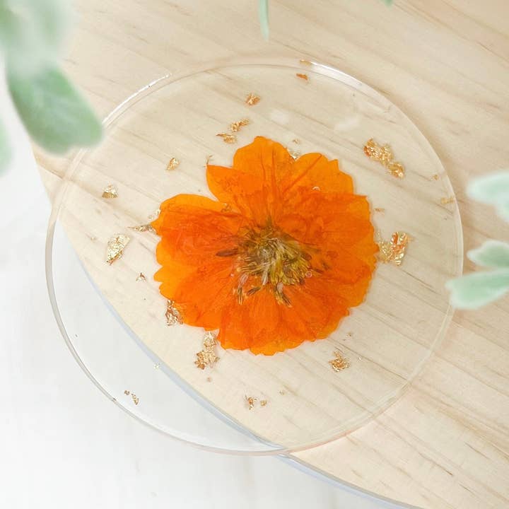 Onderzetter met geperste bloem - oranje cosmo voor wholesale door Rooted