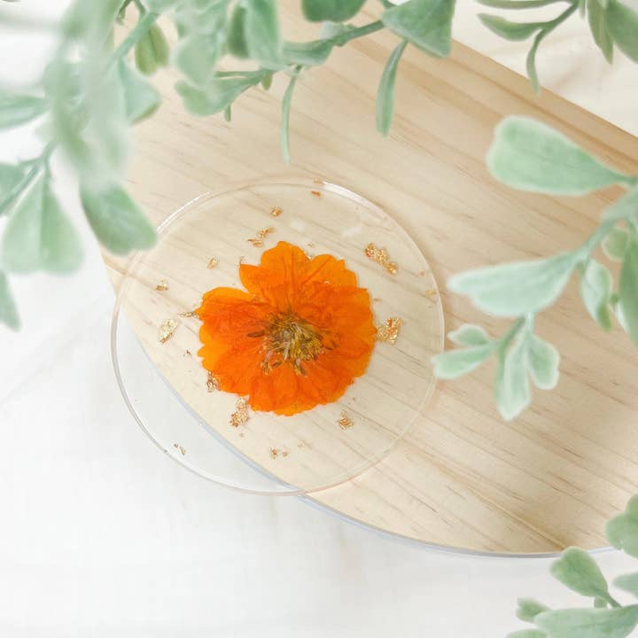 Pressad Flower coaster - apelsin cosmo för wholesale av Rooted