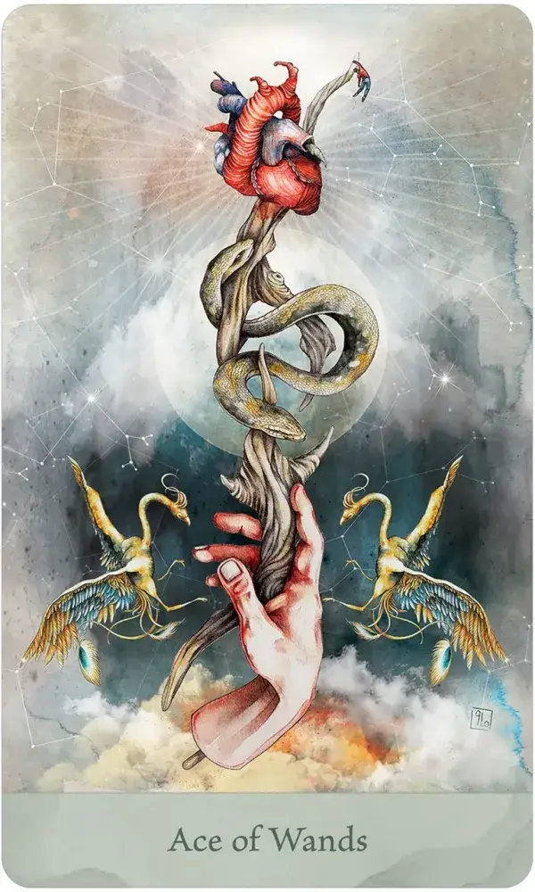 U.S. Games Systems Inc. - Wholesale Tarot Cards - Lorenzi Tarot3