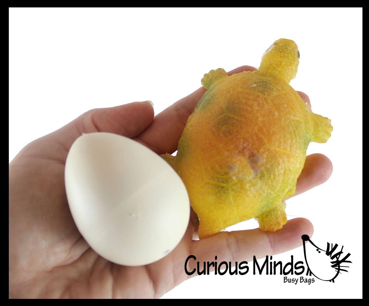 Curious Minds Toys - Wholesale Toy Set - Kids - 1 Hatch a Turtle Animal Grow in Water - Add Water Expands5