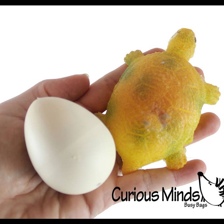 Curious Minds Toys - Wholesale Toy Set - Kids - 1 Hatch a Turtle Animal Grow in Water - Add Water Expands5