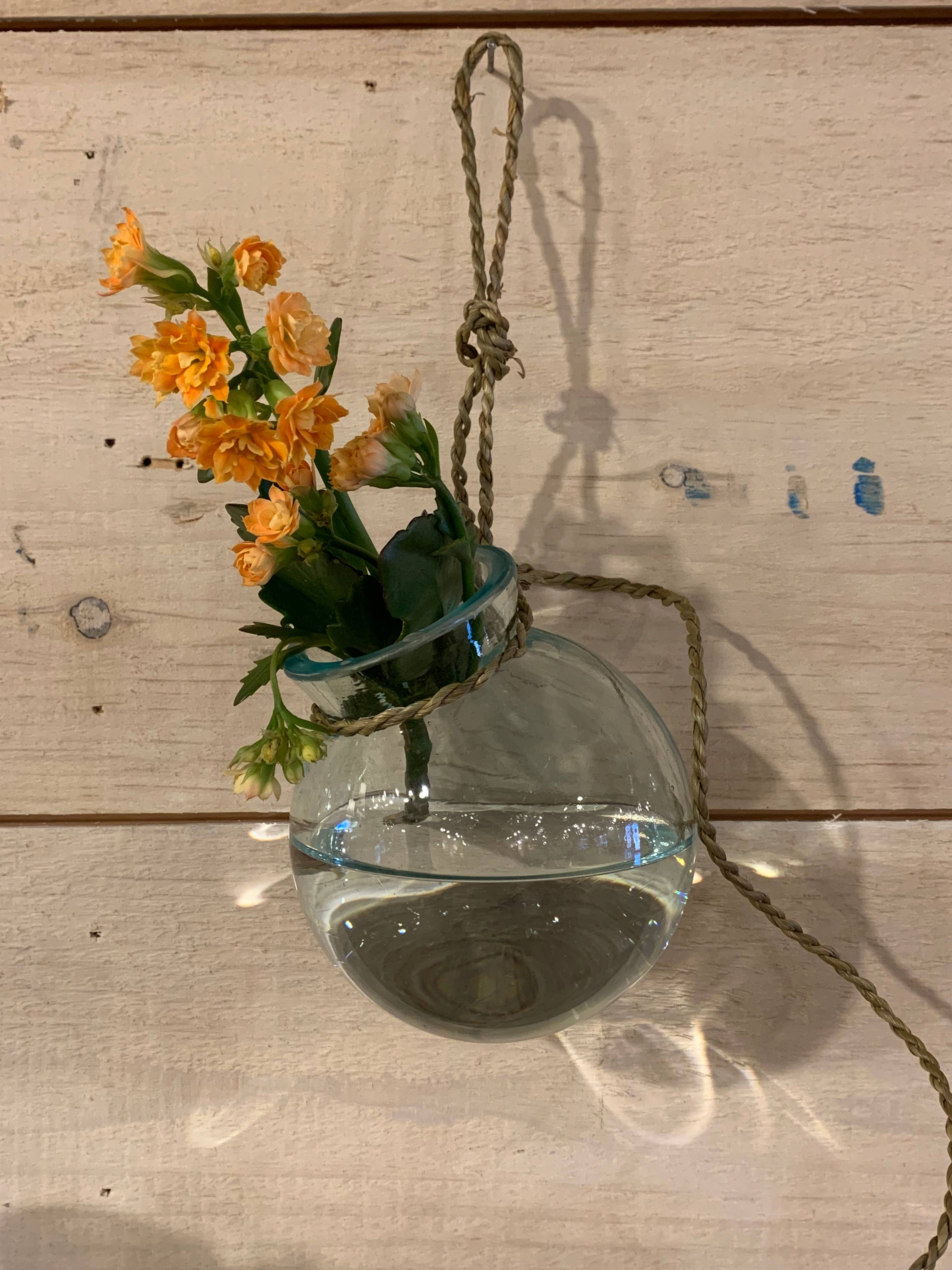 Asia West - Wholesale Hanging Planter - Glass Vase/Round Pot -Hanging with Natural Twine (4/4/4")2