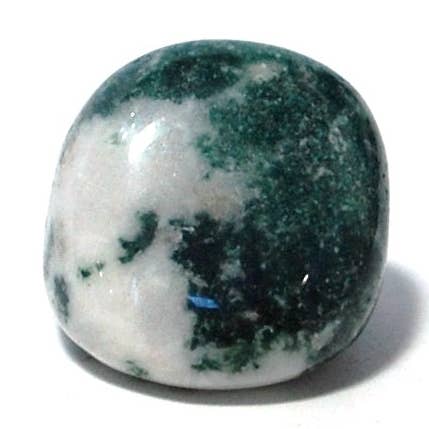 Moss Agate Natural Polished Crystal Tumble Stone for wholesale by Reiju