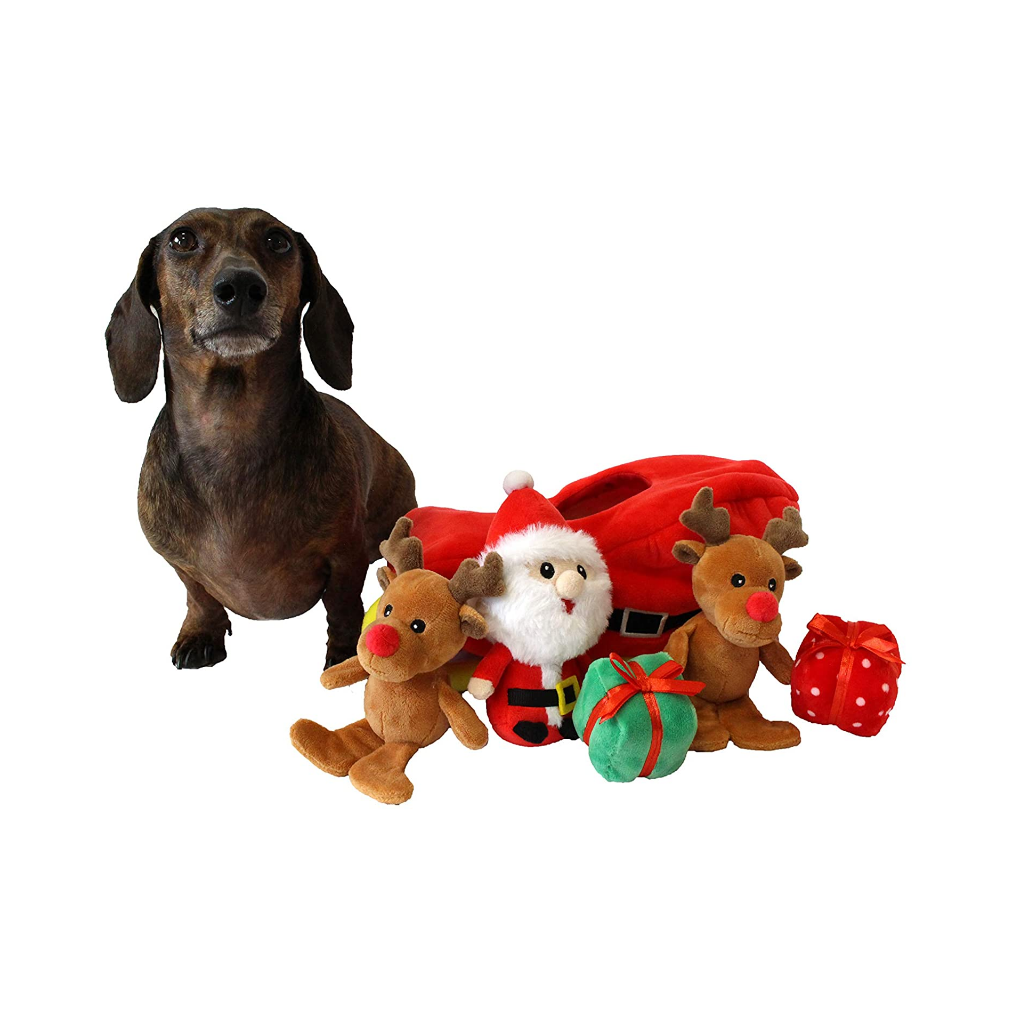 Midlee Designs – wholesale Pet plush toy – Dog – Midlee Santa Sleigh Find a Toy Christmas Dog Toy3
