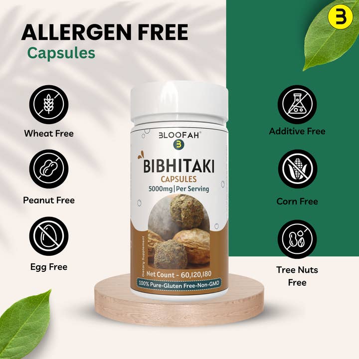Bloofah - Wholesale Voedingssupplement/vitamine - Bloofah Bibhitaki Capsules 500mg | 100% Natuurlijk Bibhitaki (Terminalia bellirica) Vruchtenpoeder Extract 10:1 Per Portie 5000mg | Glutenvrije & Non-GMO Formule voor Algehele Gezondheid en Welzijn