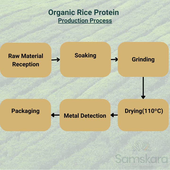 Samskara – Engroshandel Protein-/superfoodpulver – Brun risproteinpulver (80%) | Økologisk BIO | 500 gr