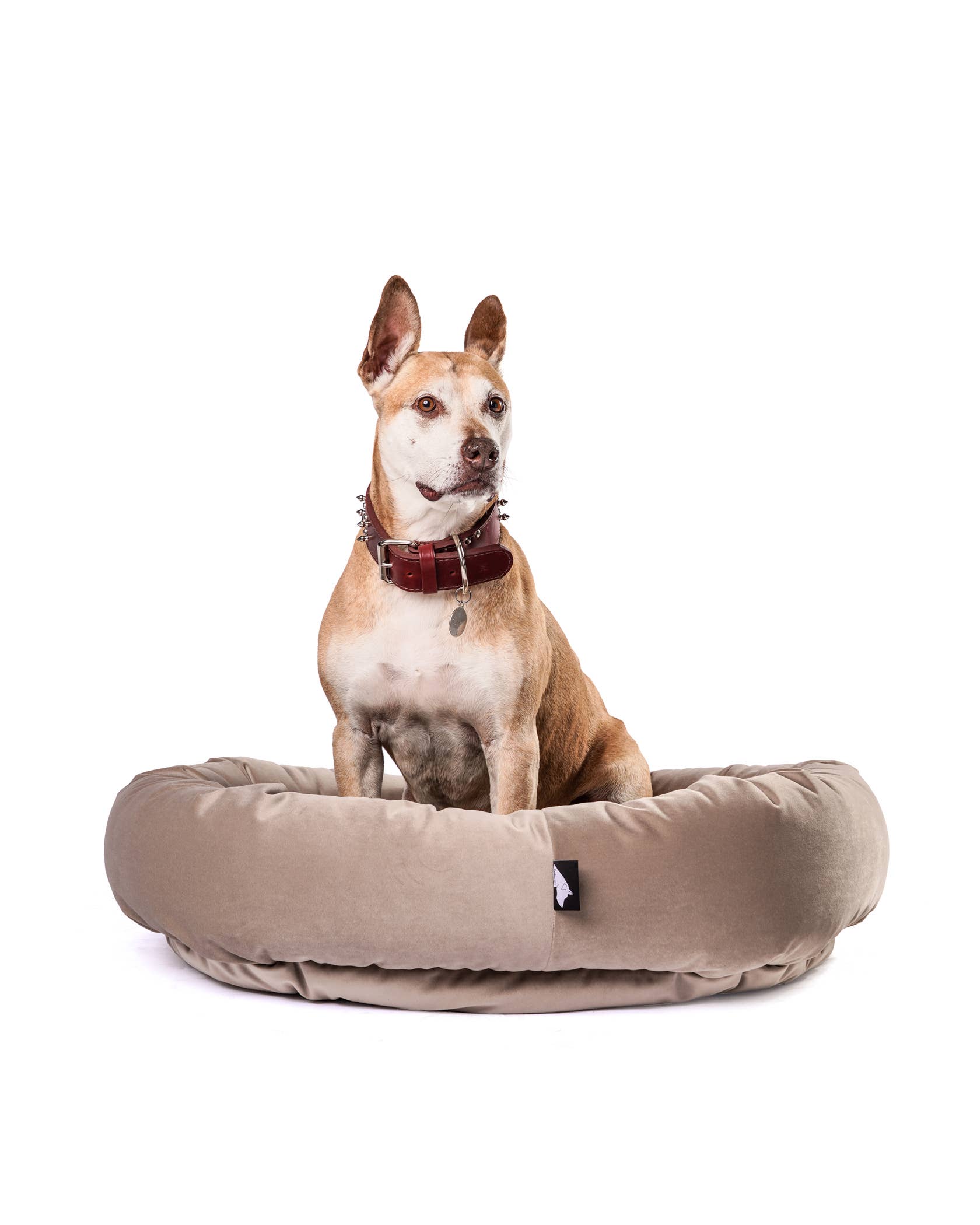 Roxbury PET - Vente Panier – chien - Le lit rond The Robertson12