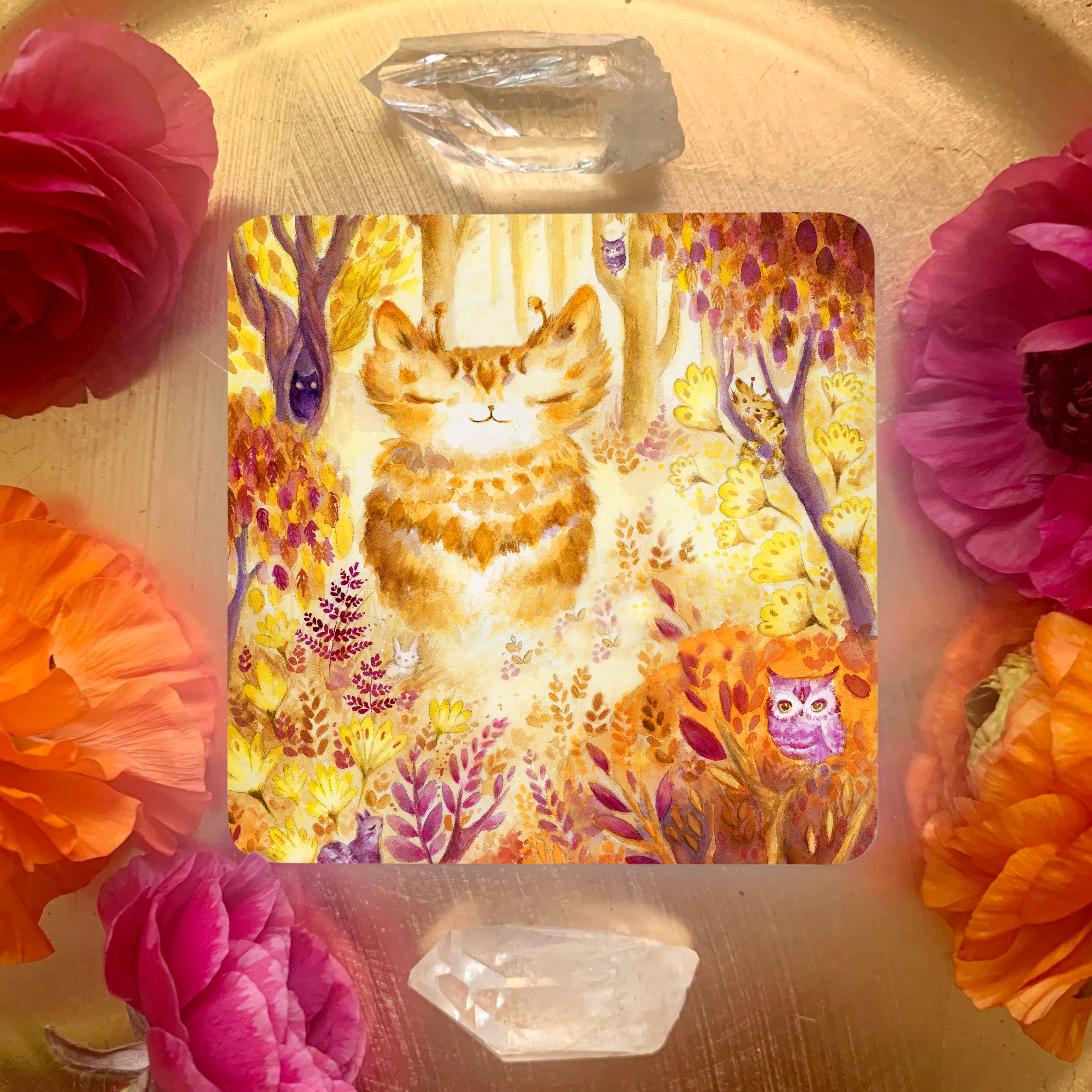 Nicole Piar - Vendita all'ingrosso Tarocchi - Mazzo di Carte Oracolo Witch Cats11