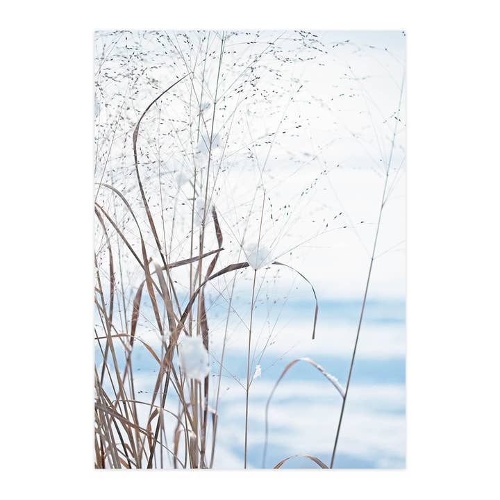 Ansichtkaart "Eerste Sneeuw" voor wholesale door paruspaper. nutzfeine papeterie