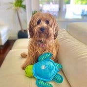 Spunky Pup – Engroshandel Tøjdyr - Hund – Spunky Pup Clean Earth plyslegetøj – 100 % bæredygtigt og genanvendt19