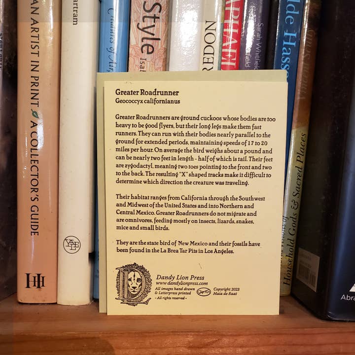 Dandy Lion Press – wholesale Everyday greeting card – Greater Roadrunner Card Letterpress Printed3