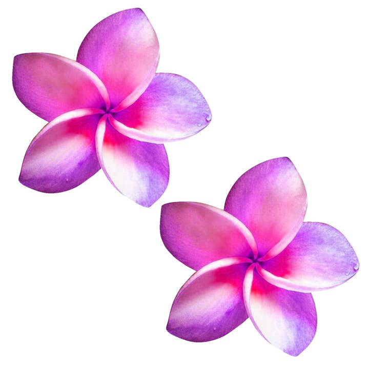 Niptees - Wholesale Nipple Pasties - Women's - Plumeria Flower Nipple Cover Pasties