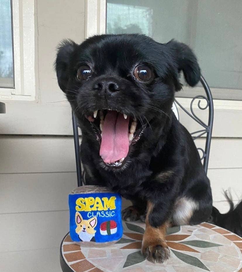 Woof & Co. - Wholesale Pet Toy - Dog - Classic Spam9