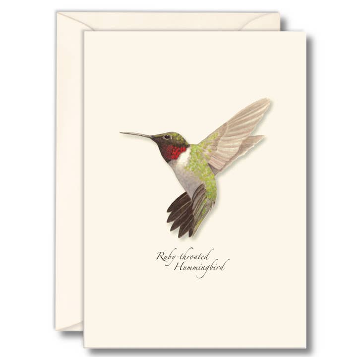 Ruby-throated Hummingbird for wholesale by Earth Sky + Water