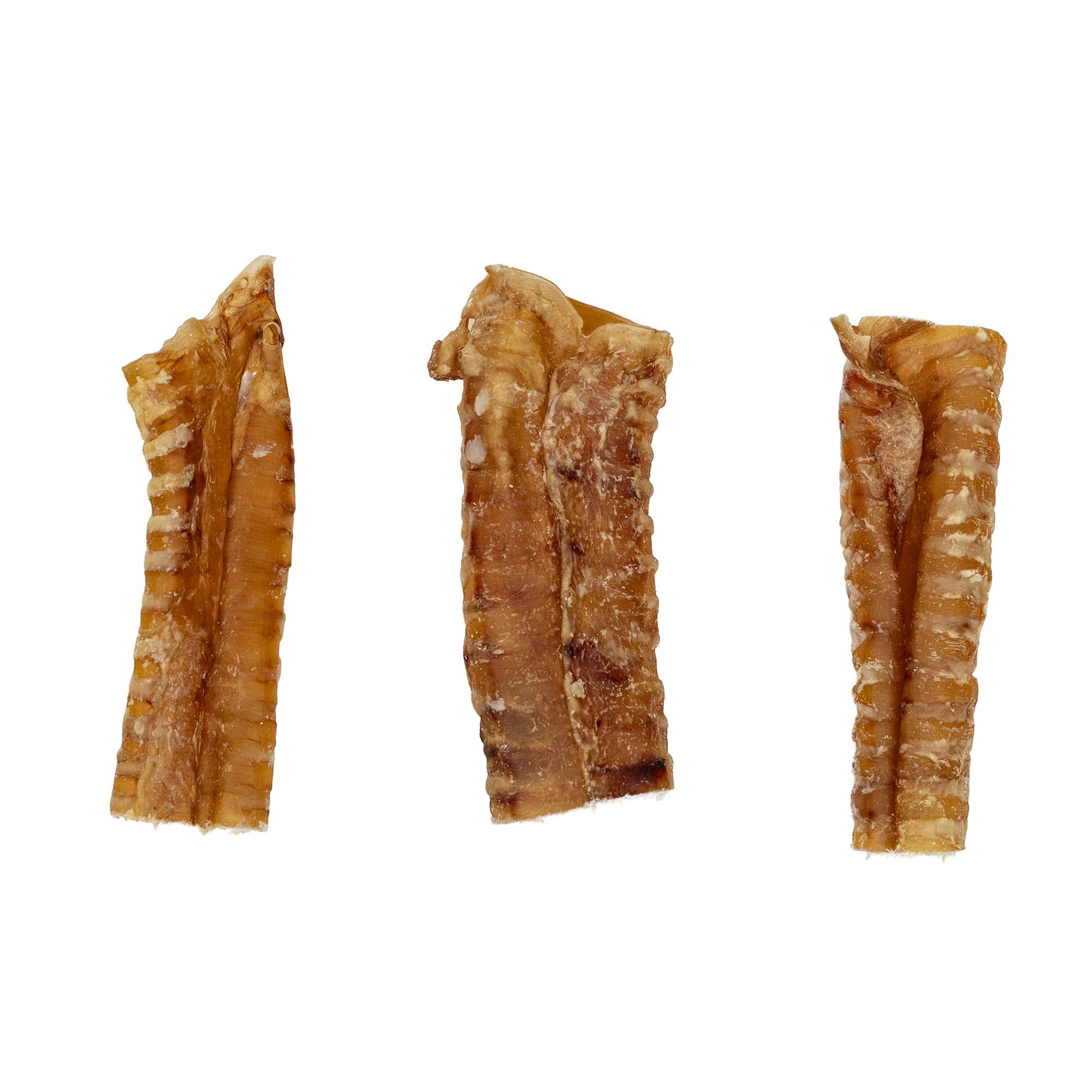 Jojo Modern Pets – Engroshandel Godbid - Hund – 15 cm oksetrævle hundegodbid - 100% naturlige hundetyggeben (25/pose)2