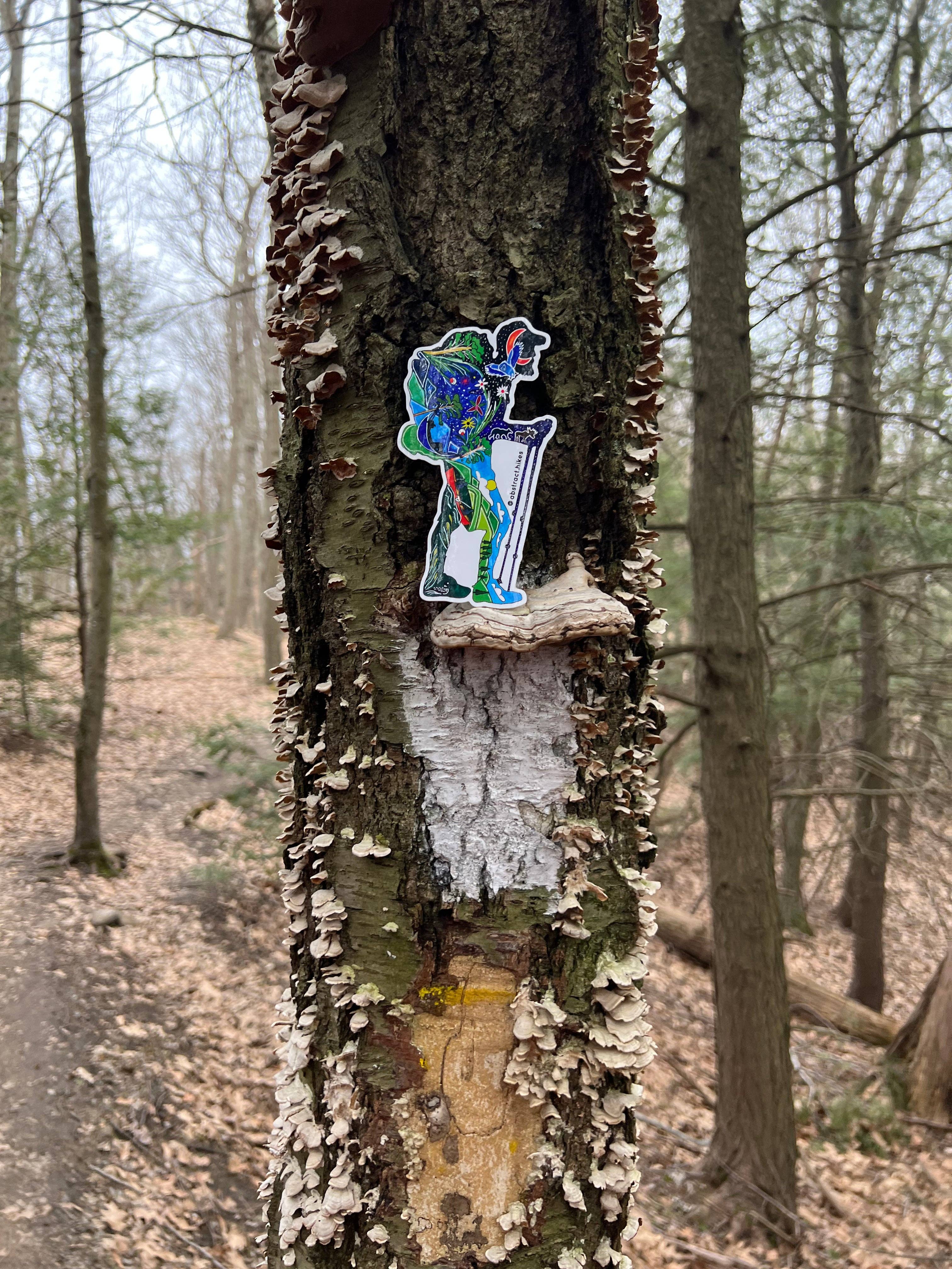 Abstract Hikes - Wholesale Sticker - Hiking Sticker: "Maine Hiker"4