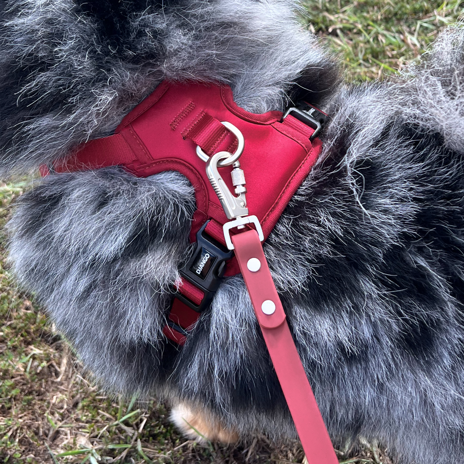 DJANGO - Wholesale Pet Leash - Dog - Tahoe Waterproof Dog Leash - Firelight Red3