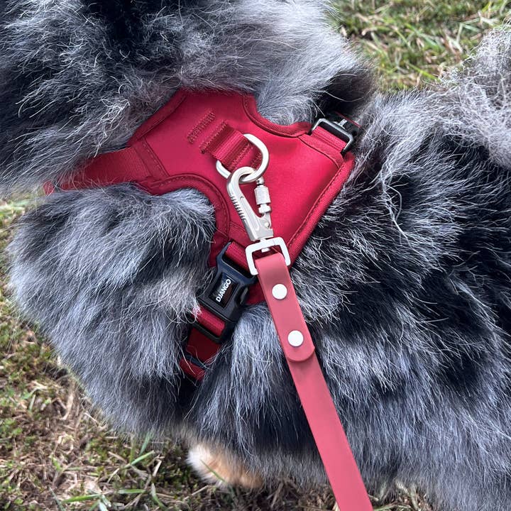 DJANGO - Wholesale Pet Leash - Dog - Tahoe Waterproof Dog Leash - Firelight Red3