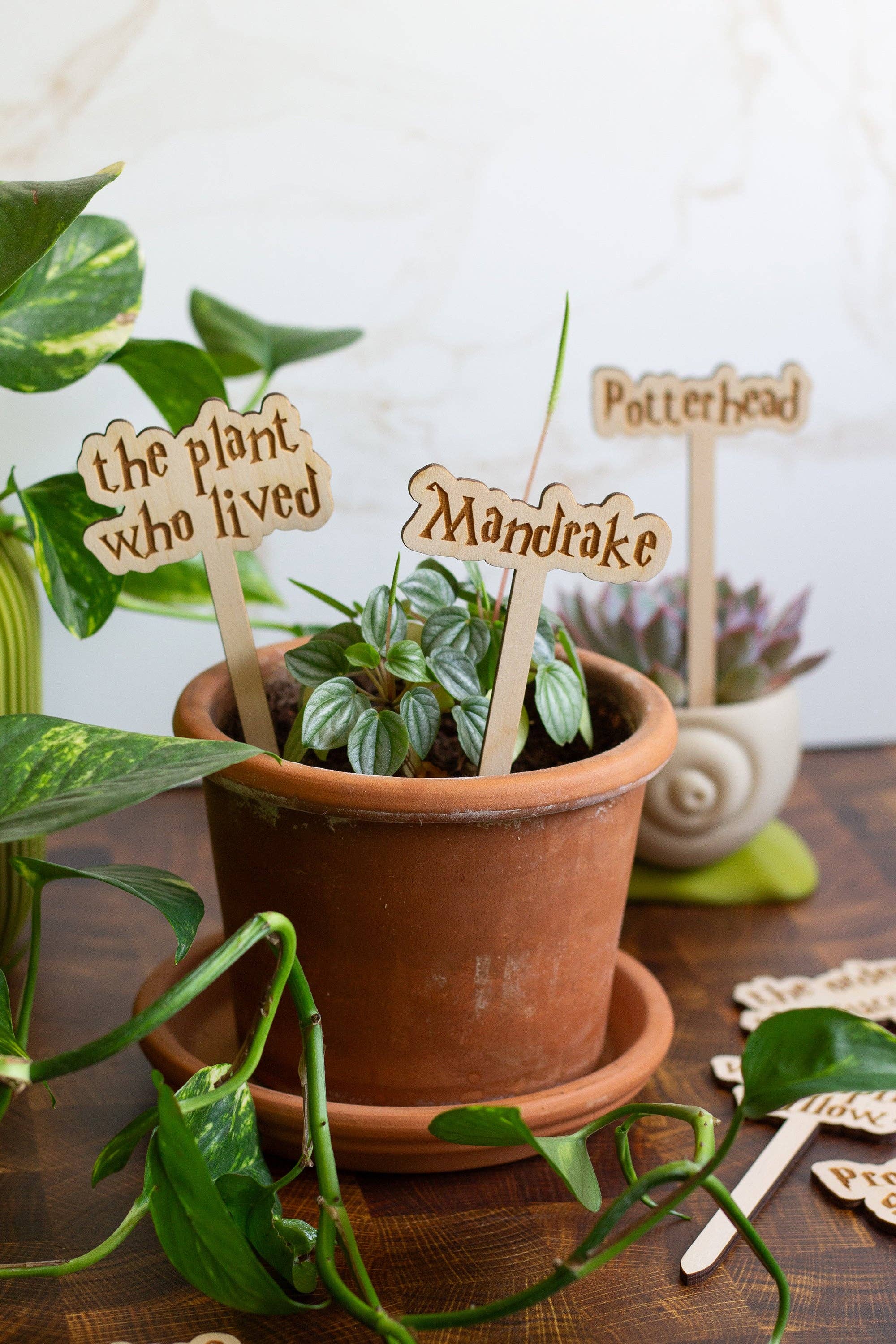 The Print Pantry - Wholesale Garden/Lawn Stake - Harry Potter Wooden Plant Markers2