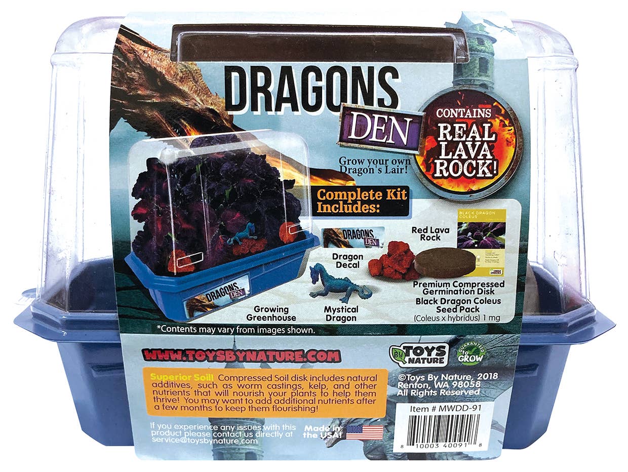 Silver Circle Products - Wholesale DIY Craft Kit - Kids - Dragon's Den Mini World Terrarium5