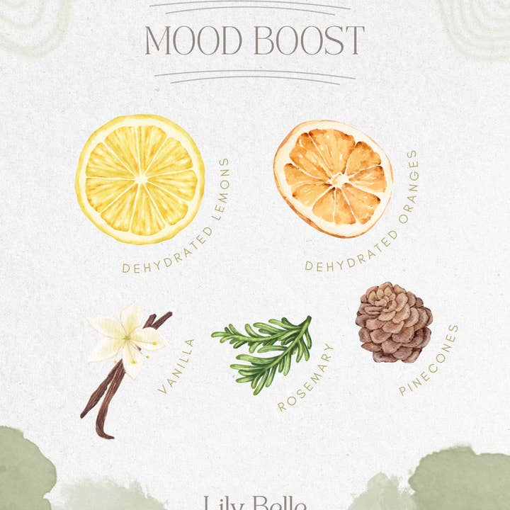 Lily Belle Boutique - Wholesale Potpourri - Mood Boost Simmer Pot | Lemon Orange Rosemary Vanilla2
