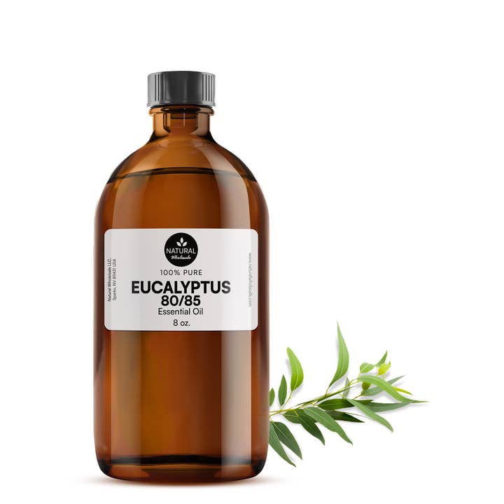 Natural Wholesale - Wholesale Essential Oil - Eucalyptus Essential Oil - 100% Pure | Wholesale Bulk1