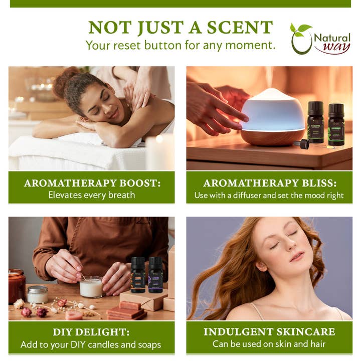 Organic Way LLC - Wholesale Essential Oil - 100% Pure Essential Oil Gift Set of 6 | Premium Aromatic Oils | Orange, Lavender, Lemongrass, Eucalyptus, Peppermint, Tea Tree | Origin India (10ml each)1