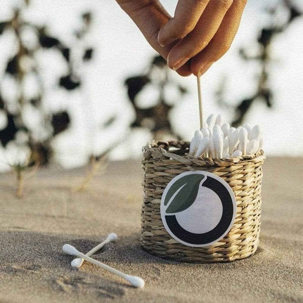 Brushboo - Wholesale Toothbrush - Biodegradable Bamboo Sticks3