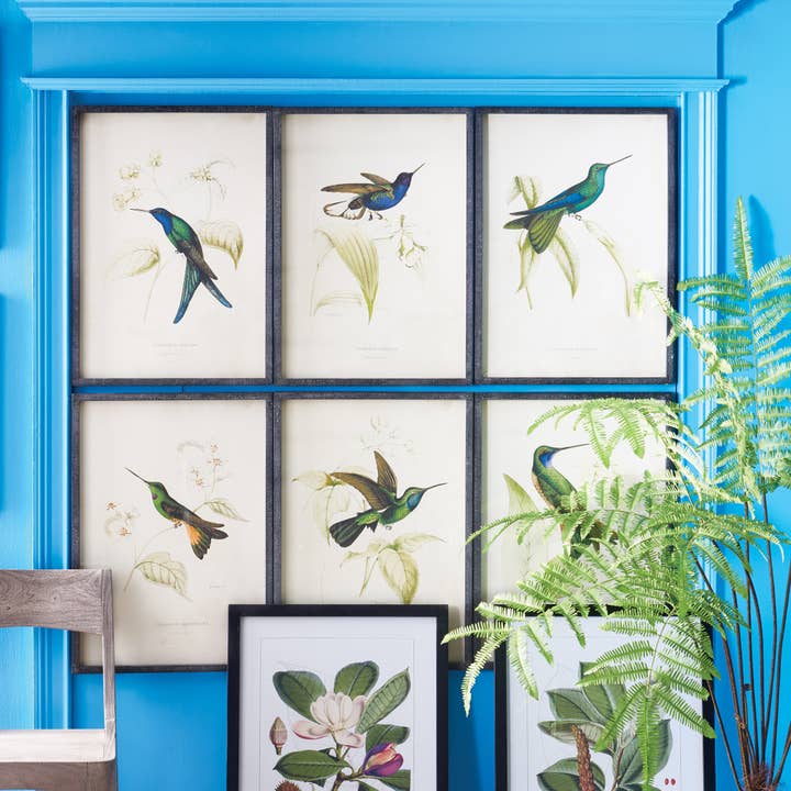 Napa Home & Garden - Vente Set d'éléments de galerie photo - Imprimés Colibri, lot de 61